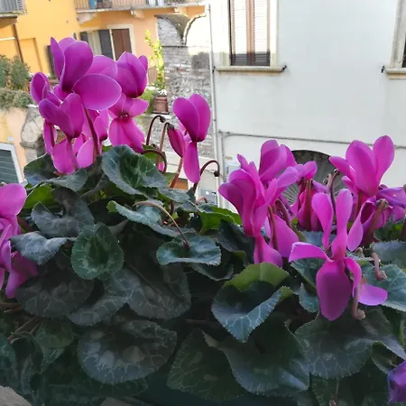 A Casa Di Luca