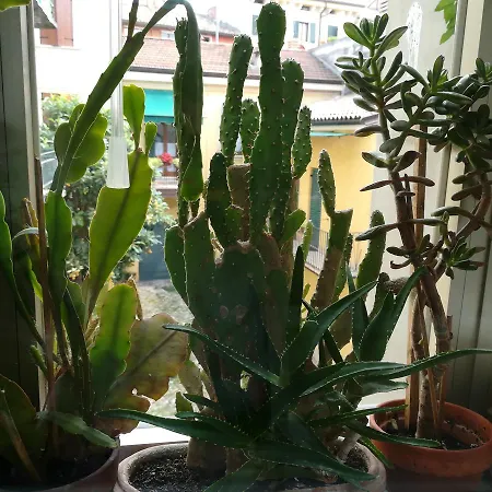 A Casa Di Luca 게스트하우스 3*