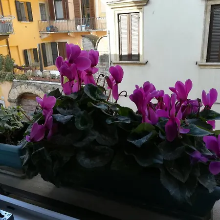 A Casa Di Luca Maison d'hôtes 3*